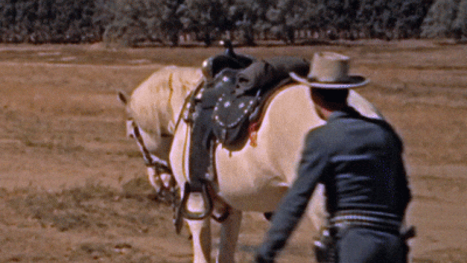 Horseback