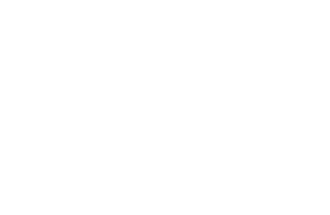 Portfolio Accelerator