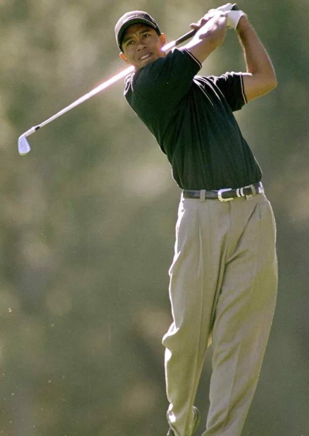 tiger